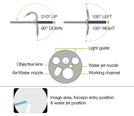 EG-760 Z Optical Magnification Gastroscope | Duomed